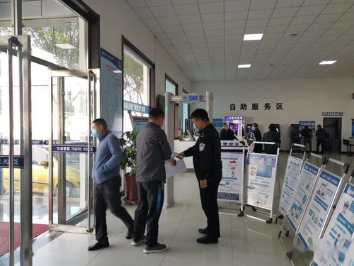 牌宝北京车牌代办全流程解析：老司机教你避开这7大坑